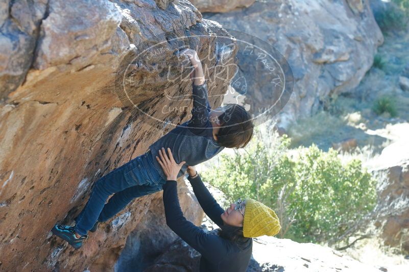 Bouldering in Hueco Tanks on 01/06/2020 with Blue Lizard Climbing and Yoga

Filename: SRM_20200106_1435330.jpg
Aperture: f/4.5
Shutter Speed: 1/320
Body: Canon EOS-1D Mark II
Lens: Canon EF 50mm f/1.8 II