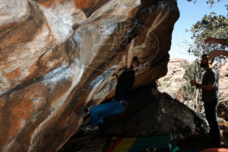 Bouldering in Hueco Tanks on 02/14/2020 with Blue Lizard Climbing and Yoga

Filename: SRM_20200214_1211180.jpg
Aperture: f/8.0
Shutter Speed: 1/250
Body: Canon EOS-1D Mark II
Lens: Canon EF 16-35mm f/2.8 L