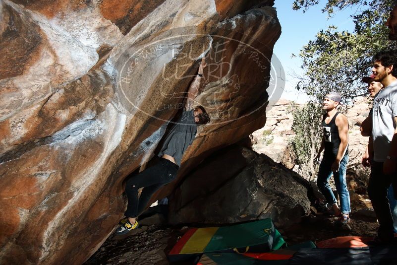 Bouldering in Hueco Tanks on 02/14/2020 with Blue Lizard Climbing and Yoga

Filename: SRM_20200214_1214210.jpg
Aperture: f/8.0
Shutter Speed: 1/250
Body: Canon EOS-1D Mark II
Lens: Canon EF 16-35mm f/2.8 L