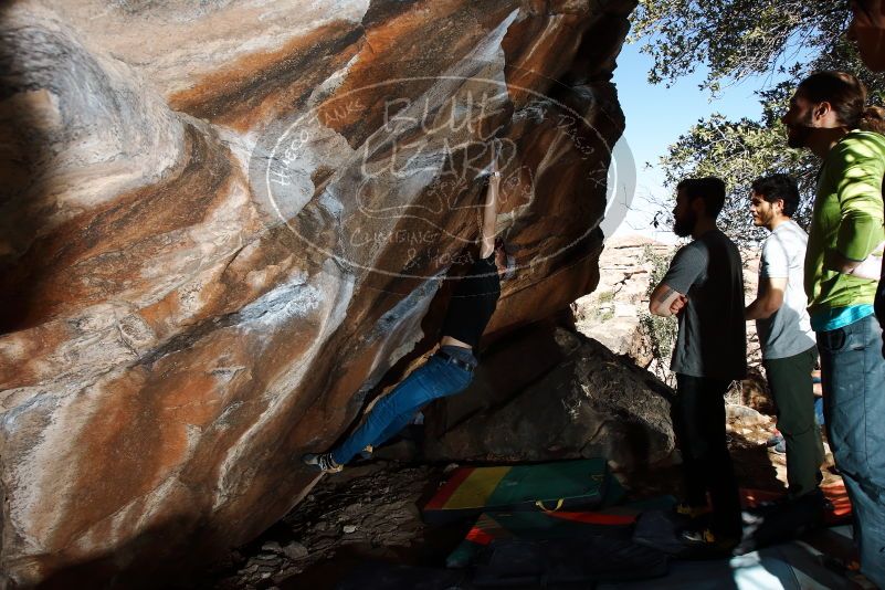 Bouldering in Hueco Tanks on 02/14/2020 with Blue Lizard Climbing and Yoga

Filename: SRM_20200214_1216050.jpg
Aperture: f/8.0
Shutter Speed: 1/250
Body: Canon EOS-1D Mark II
Lens: Canon EF 16-35mm f/2.8 L
