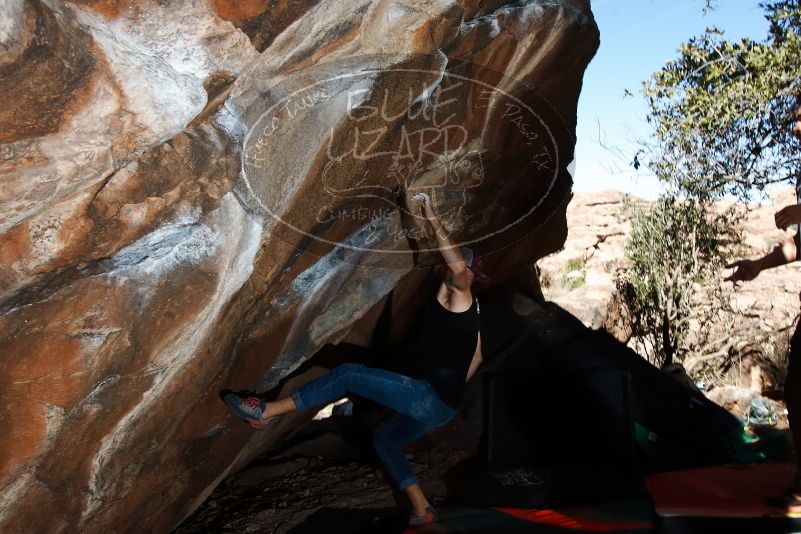 Bouldering in Hueco Tanks on 02/14/2020 with Blue Lizard Climbing and Yoga

Filename: SRM_20200214_1225280.jpg
Aperture: f/8.0
Shutter Speed: 1/250
Body: Canon EOS-1D Mark II
Lens: Canon EF 16-35mm f/2.8 L