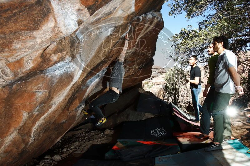 Bouldering in Hueco Tanks on 02/14/2020 with Blue Lizard Climbing and Yoga

Filename: SRM_20200214_1232280.jpg
Aperture: f/8.0
Shutter Speed: 1/250
Body: Canon EOS-1D Mark II
Lens: Canon EF 16-35mm f/2.8 L