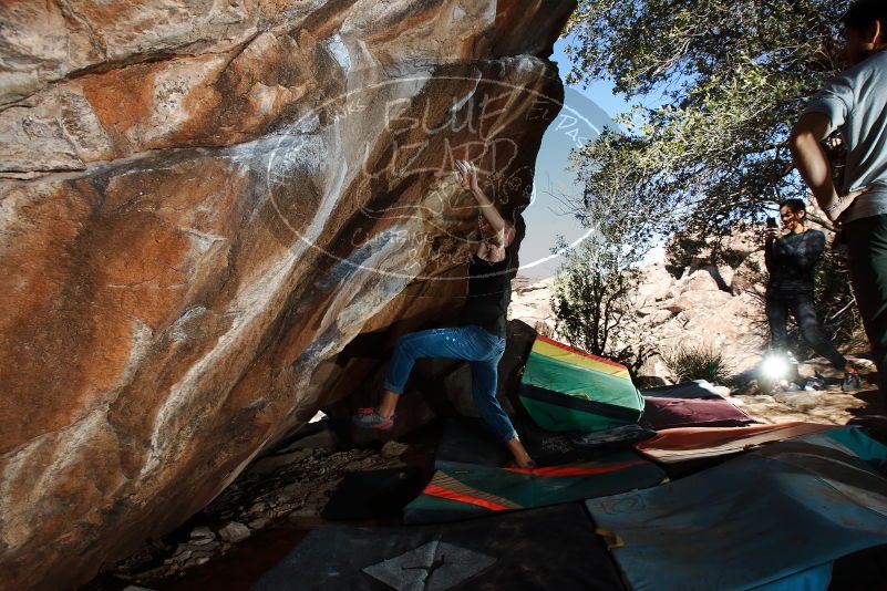 Bouldering in Hueco Tanks on 02/14/2020 with Blue Lizard Climbing and Yoga

Filename: SRM_20200214_1246120.jpg
Aperture: f/8.0
Shutter Speed: 1/250
Body: Canon EOS-1D Mark II
Lens: Canon EF 16-35mm f/2.8 L