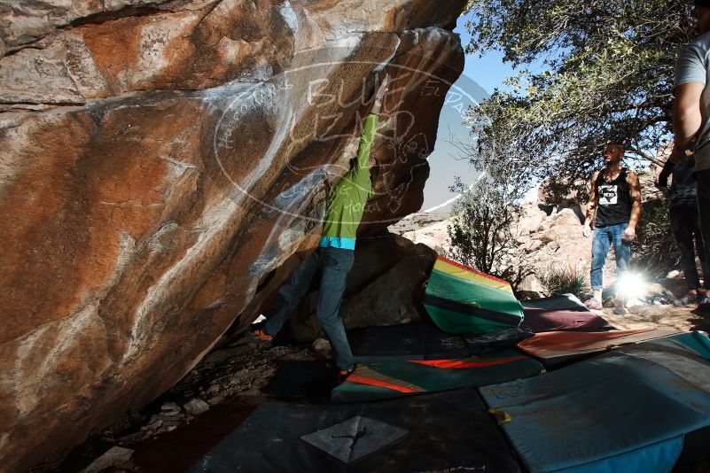 Bouldering in Hueco Tanks on 02/14/2020 with Blue Lizard Climbing and Yoga

Filename: SRM_20200214_1246400.jpg
Aperture: f/8.0
Shutter Speed: 1/250
Body: Canon EOS-1D Mark II
Lens: Canon EF 16-35mm f/2.8 L