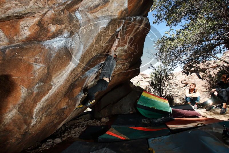 Bouldering in Hueco Tanks on 02/14/2020 with Blue Lizard Climbing and Yoga

Filename: SRM_20200214_1252070.jpg
Aperture: f/8.0
Shutter Speed: 1/250
Body: Canon EOS-1D Mark II
Lens: Canon EF 16-35mm f/2.8 L