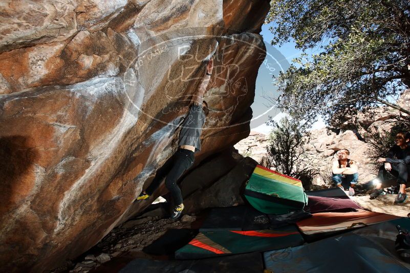 Bouldering in Hueco Tanks on 02/14/2020 with Blue Lizard Climbing and Yoga

Filename: SRM_20200214_1252220.jpg
Aperture: f/8.0
Shutter Speed: 1/250
Body: Canon EOS-1D Mark II
Lens: Canon EF 16-35mm f/2.8 L