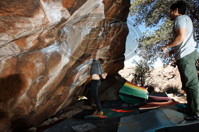 Bouldering in Hueco Tanks on 02/14/2020 with Blue Lizard Climbing and Yoga

Filename: SRM_20200214_1254100.jpg
Aperture: f/8.0
Shutter Speed: 1/250
Body: Canon EOS-1D Mark II
Lens: Canon EF 16-35mm f/2.8 L