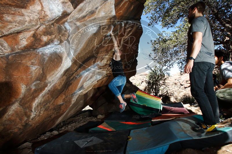 Bouldering in Hueco Tanks on 02/14/2020 with Blue Lizard Climbing and Yoga

Filename: SRM_20200214_1255470.jpg
Aperture: f/8.0
Shutter Speed: 1/250
Body: Canon EOS-1D Mark II
Lens: Canon EF 16-35mm f/2.8 L