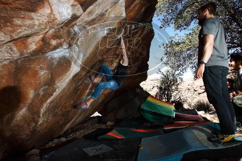 Bouldering in Hueco Tanks on 02/14/2020 with Blue Lizard Climbing and Yoga

Filename: SRM_20200214_1255480.jpg
Aperture: f/8.0
Shutter Speed: 1/250
Body: Canon EOS-1D Mark II
Lens: Canon EF 16-35mm f/2.8 L