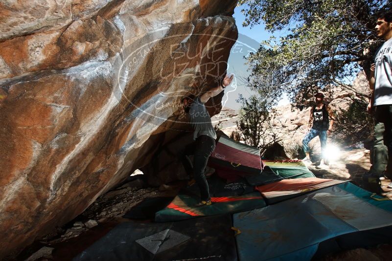Bouldering in Hueco Tanks on 02/14/2020 with Blue Lizard Climbing and Yoga

Filename: SRM_20200214_1306470.jpg
Aperture: f/8.0
Shutter Speed: 1/250
Body: Canon EOS-1D Mark II
Lens: Canon EF 16-35mm f/2.8 L