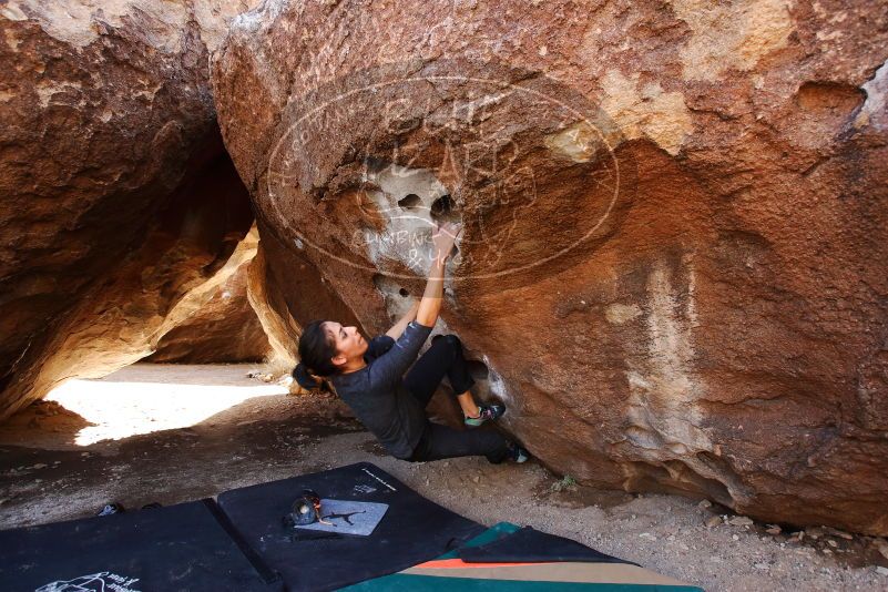 Bouldering in Hueco Tanks on 02/14/2020 with Blue Lizard Climbing and Yoga

Filename: SRM_20200214_1456060.jpg
Aperture: f/5.0
Shutter Speed: 1/250
Body: Canon EOS-1D Mark II
Lens: Canon EF 16-35mm f/2.8 L