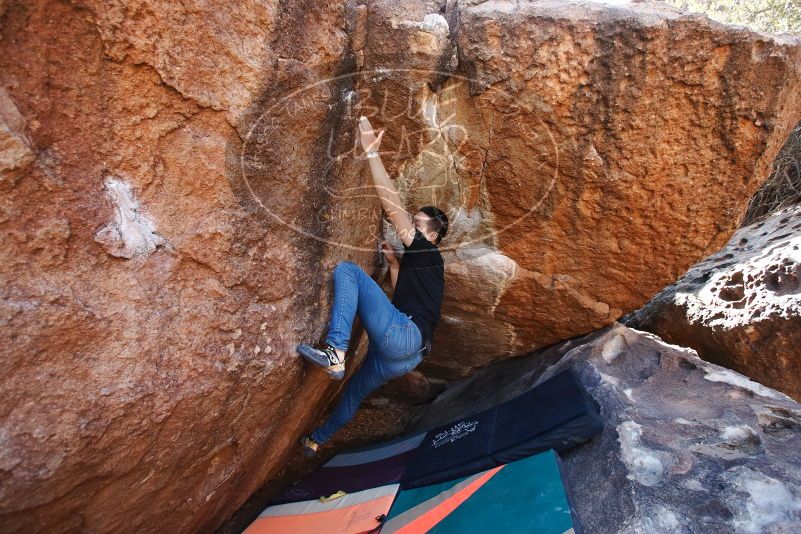 Bouldering in Hueco Tanks on 02/14/2020 with Blue Lizard Climbing and Yoga

Filename: SRM_20200214_1558090.jpg
Aperture: f/4.0
Shutter Speed: 1/250
Body: Canon EOS-1D Mark II
Lens: Canon EF 16-35mm f/2.8 L