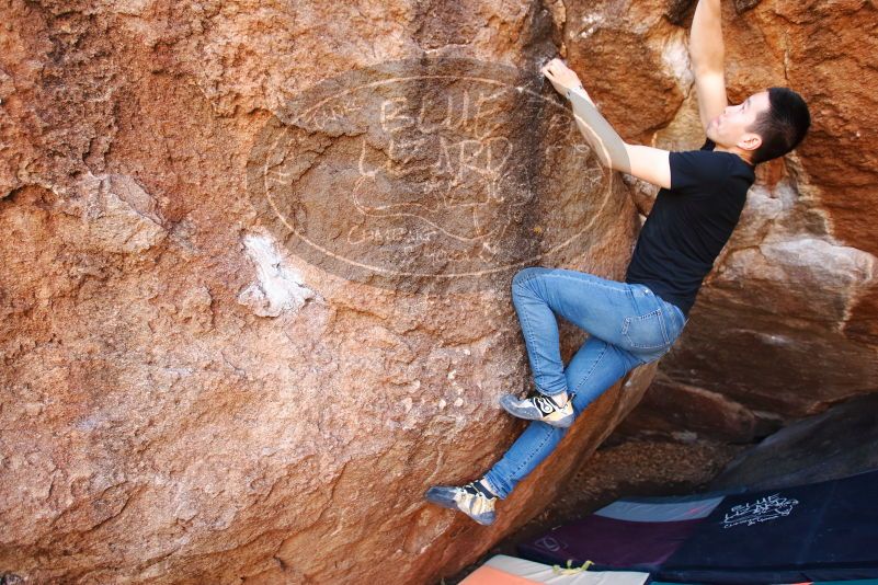 Bouldering in Hueco Tanks on 02/14/2020 with Blue Lizard Climbing and Yoga

Filename: SRM_20200214_1602220.jpg
Aperture: f/3.2
Shutter Speed: 1/250
Body: Canon EOS-1D Mark II
Lens: Canon EF 16-35mm f/2.8 L