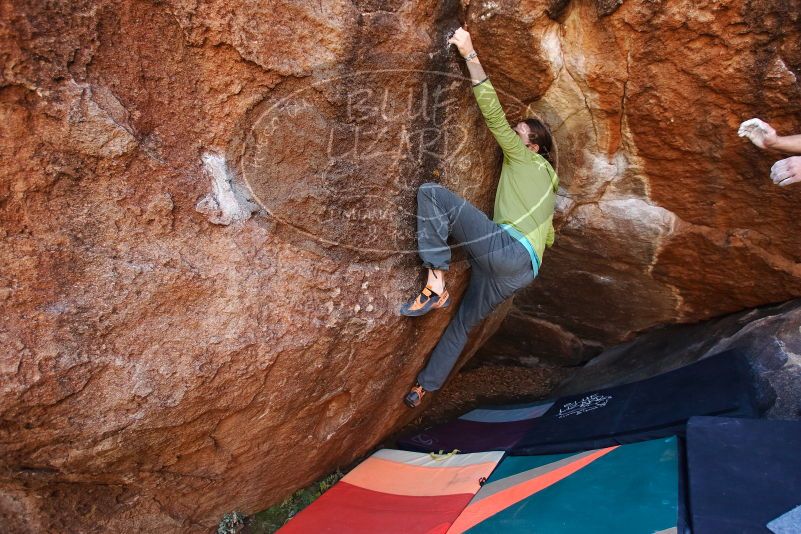 Bouldering in Hueco Tanks on 02/14/2020 with Blue Lizard Climbing and Yoga

Filename: SRM_20200214_1603530.jpg
Aperture: f/4.0
Shutter Speed: 1/250
Body: Canon EOS-1D Mark II
Lens: Canon EF 16-35mm f/2.8 L
