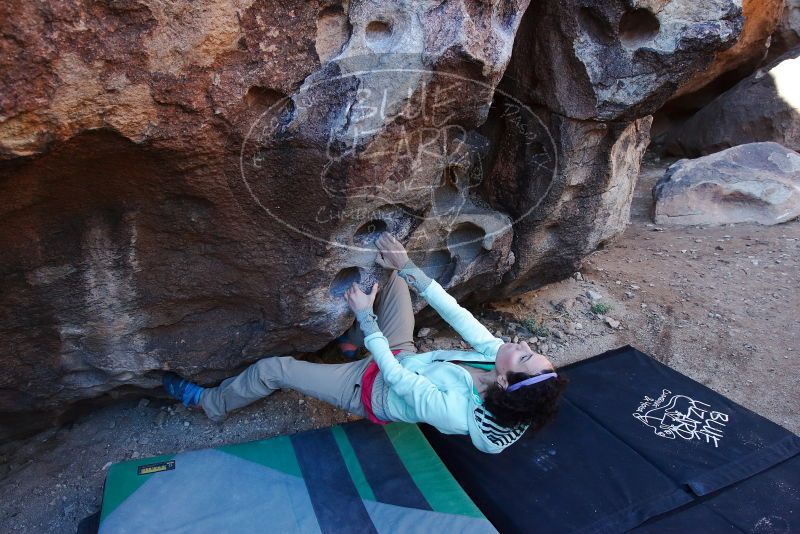 Bouldering in Hueco Tanks on 02/16/2020 with Blue Lizard Climbing and Yoga

Filename: SRM_20200216_1044580.jpg
Aperture: f/5.6
Shutter Speed: 1/250
Body: Canon EOS-1D Mark II
Lens: Canon EF 16-35mm f/2.8 L