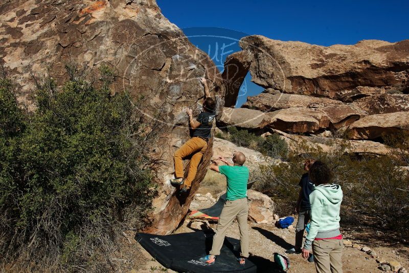 Bouldering in Hueco Tanks on 02/16/2020 with Blue Lizard Climbing and Yoga

Filename: SRM_20200216_1053420.jpg
Aperture: f/8.0
Shutter Speed: 1/500
Body: Canon EOS-1D Mark II
Lens: Canon EF 16-35mm f/2.8 L