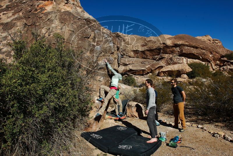 Bouldering in Hueco Tanks on 02/16/2020 with Blue Lizard Climbing and Yoga

Filename: SRM_20200216_1055520.jpg
Aperture: f/7.1
Shutter Speed: 1/500
Body: Canon EOS-1D Mark II
Lens: Canon EF 16-35mm f/2.8 L