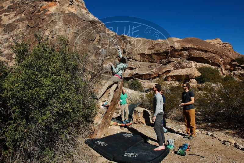 Bouldering in Hueco Tanks on 02/16/2020 with Blue Lizard Climbing and Yoga

Filename: SRM_20200216_1055540.jpg
Aperture: f/7.1
Shutter Speed: 1/500
Body: Canon EOS-1D Mark II
Lens: Canon EF 16-35mm f/2.8 L