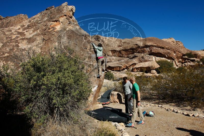 Bouldering in Hueco Tanks on 02/16/2020 with Blue Lizard Climbing and Yoga

Filename: SRM_20200216_1056220.jpg
Aperture: f/7.1
Shutter Speed: 1/500
Body: Canon EOS-1D Mark II
Lens: Canon EF 16-35mm f/2.8 L