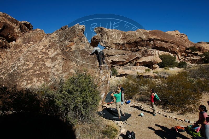 Bouldering in Hueco Tanks on 02/16/2020 with Blue Lizard Climbing and Yoga

Filename: SRM_20200216_1059350.jpg
Aperture: f/8.0
Shutter Speed: 1/500
Body: Canon EOS-1D Mark II
Lens: Canon EF 16-35mm f/2.8 L