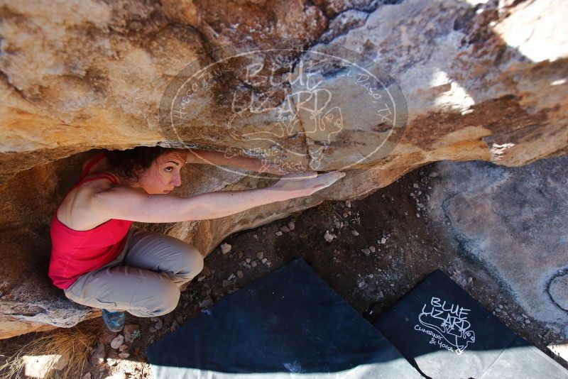 Bouldering in Hueco Tanks on 02/16/2020 with Blue Lizard Climbing and Yoga

Filename: SRM_20200216_1107370.jpg
Aperture: f/4.5
Shutter Speed: 1/250
Body: Canon EOS-1D Mark II
Lens: Canon EF 16-35mm f/2.8 L