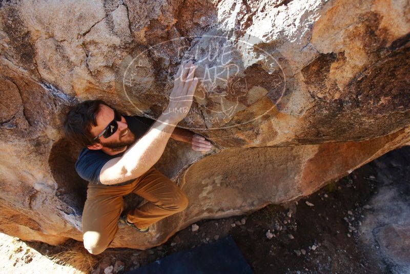Bouldering in Hueco Tanks on 02/16/2020 with Blue Lizard Climbing and Yoga

Filename: SRM_20200216_1111170.jpg
Aperture: f/4.5
Shutter Speed: 1/250
Body: Canon EOS-1D Mark II
Lens: Canon EF 16-35mm f/2.8 L