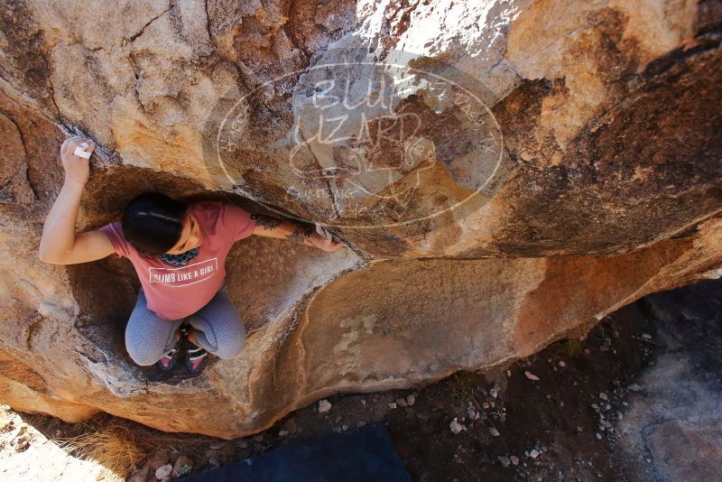Bouldering in Hueco Tanks on 02/16/2020 with Blue Lizard Climbing and Yoga

Filename: SRM_20200216_1112380.jpg
Aperture: f/4.5
Shutter Speed: 1/250
Body: Canon EOS-1D Mark II
Lens: Canon EF 16-35mm f/2.8 L