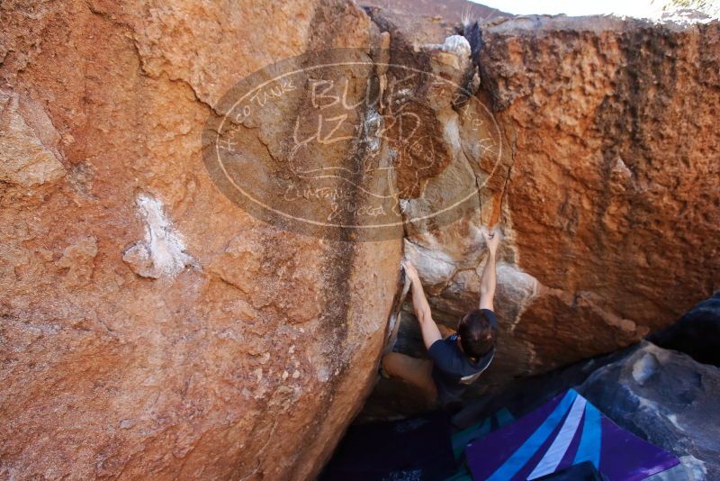 Bouldering in Hueco Tanks on 02/16/2020 with Blue Lizard Climbing and Yoga

Filename: SRM_20200216_1120060.jpg
Aperture: f/4.5
Shutter Speed: 1/400
Body: Canon EOS-1D Mark II
Lens: Canon EF 16-35mm f/2.8 L