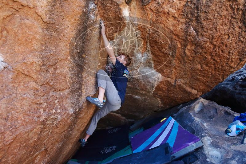 Bouldering in Hueco Tanks on 02/16/2020 with Blue Lizard Climbing and Yoga

Filename: SRM_20200216_1122340.jpg
Aperture: f/4.5
Shutter Speed: 1/320
Body: Canon EOS-1D Mark II
Lens: Canon EF 16-35mm f/2.8 L
