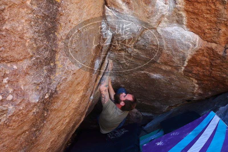 Bouldering in Hueco Tanks on 02/16/2020 with Blue Lizard Climbing and Yoga

Filename: SRM_20200216_1128290.jpg
Aperture: f/5.0
Shutter Speed: 1/250
Body: Canon EOS-1D Mark II
Lens: Canon EF 16-35mm f/2.8 L