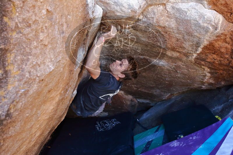 Bouldering in Hueco Tanks on 02/16/2020 with Blue Lizard Climbing and Yoga

Filename: SRM_20200216_1130450.jpg
Aperture: f/4.5
Shutter Speed: 1/250
Body: Canon EOS-1D Mark II
Lens: Canon EF 16-35mm f/2.8 L