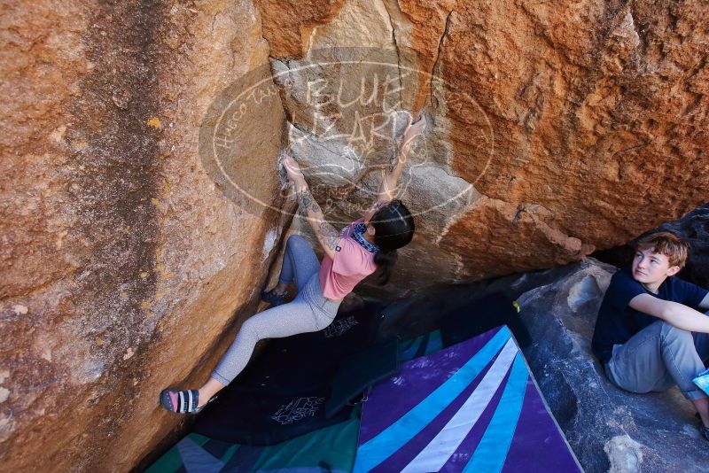 Bouldering in Hueco Tanks on 02/16/2020 with Blue Lizard Climbing and Yoga

Filename: SRM_20200216_1140530.jpg
Aperture: f/5.0
Shutter Speed: 1/250
Body: Canon EOS-1D Mark II
Lens: Canon EF 16-35mm f/2.8 L