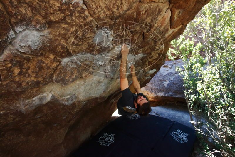 Bouldering in Hueco Tanks on 02/16/2020 with Blue Lizard Climbing and Yoga

Filename: SRM_20200216_1200380.jpg
Aperture: f/5.0
Shutter Speed: 1/250
Body: Canon EOS-1D Mark II
Lens: Canon EF 16-35mm f/2.8 L