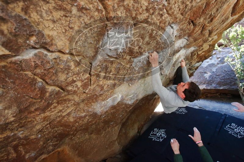 Bouldering in Hueco Tanks on 02/16/2020 with Blue Lizard Climbing and Yoga

Filename: SRM_20200216_1203510.jpg
Aperture: f/4.0
Shutter Speed: 1/250
Body: Canon EOS-1D Mark II
Lens: Canon EF 16-35mm f/2.8 L