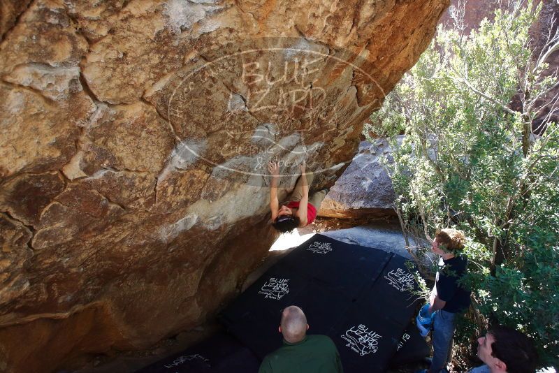 Bouldering in Hueco Tanks on 02/16/2020 with Blue Lizard Climbing and Yoga

Filename: SRM_20200216_1207300.jpg
Aperture: f/5.0
Shutter Speed: 1/250
Body: Canon EOS-1D Mark II
Lens: Canon EF 16-35mm f/2.8 L