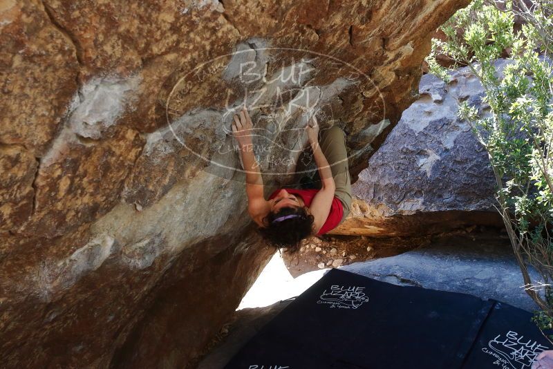 Bouldering in Hueco Tanks on 02/16/2020 with Blue Lizard Climbing and Yoga

Filename: SRM_20200216_1207470.jpg
Aperture: f/5.6
Shutter Speed: 1/250
Body: Canon EOS-1D Mark II
Lens: Canon EF 16-35mm f/2.8 L