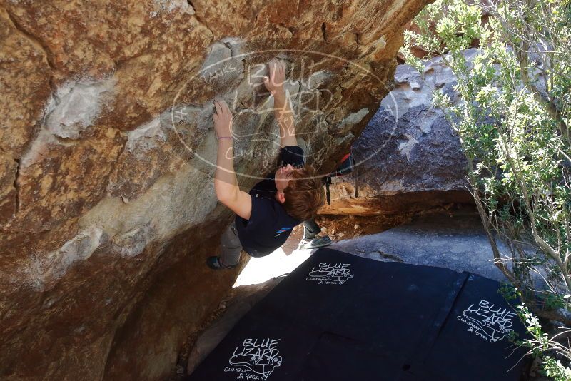 Bouldering in Hueco Tanks on 02/16/2020 with Blue Lizard Climbing and Yoga

Filename: SRM_20200216_1209090.jpg
Aperture: f/5.0
Shutter Speed: 1/320
Body: Canon EOS-1D Mark II
Lens: Canon EF 16-35mm f/2.8 L