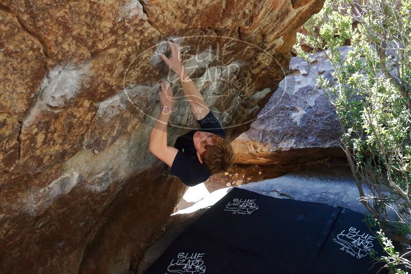Bouldering in Hueco Tanks on 02/16/2020 with Blue Lizard Climbing and Yoga

Filename: SRM_20200216_1209110.jpg
Aperture: f/5.0
Shutter Speed: 1/320
Body: Canon EOS-1D Mark II
Lens: Canon EF 16-35mm f/2.8 L
