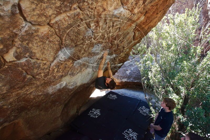 Bouldering in Hueco Tanks on 02/16/2020 with Blue Lizard Climbing and Yoga

Filename: SRM_20200216_1211080.jpg
Aperture: f/5.0
Shutter Speed: 1/320
Body: Canon EOS-1D Mark II
Lens: Canon EF 16-35mm f/2.8 L