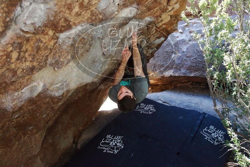 Bouldering in Hueco Tanks on 02/16/2020 with Blue Lizard Climbing and Yoga

Filename: SRM_20200216_1213470.jpg
Aperture: f/4.5
Shutter Speed: 1/320
Body: Canon EOS-1D Mark II
Lens: Canon EF 16-35mm f/2.8 L