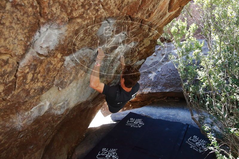 Bouldering in Hueco Tanks on 02/16/2020 with Blue Lizard Climbing and Yoga

Filename: SRM_20200216_1215520.jpg
Aperture: f/5.0
Shutter Speed: 1/320
Body: Canon EOS-1D Mark II
Lens: Canon EF 16-35mm f/2.8 L