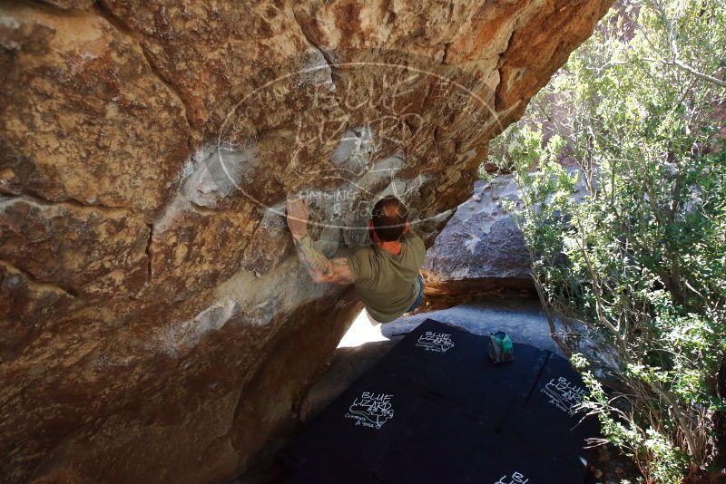 Bouldering in Hueco Tanks on 02/16/2020 with Blue Lizard Climbing and Yoga

Filename: SRM_20200216_1218110.jpg
Aperture: f/5.6
Shutter Speed: 1/250
Body: Canon EOS-1D Mark II
Lens: Canon EF 16-35mm f/2.8 L