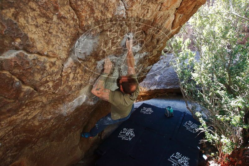Bouldering in Hueco Tanks on 02/16/2020 with Blue Lizard Climbing and Yoga

Filename: SRM_20200216_1218201.jpg
Aperture: f/5.0
Shutter Speed: 1/250
Body: Canon EOS-1D Mark II
Lens: Canon EF 16-35mm f/2.8 L