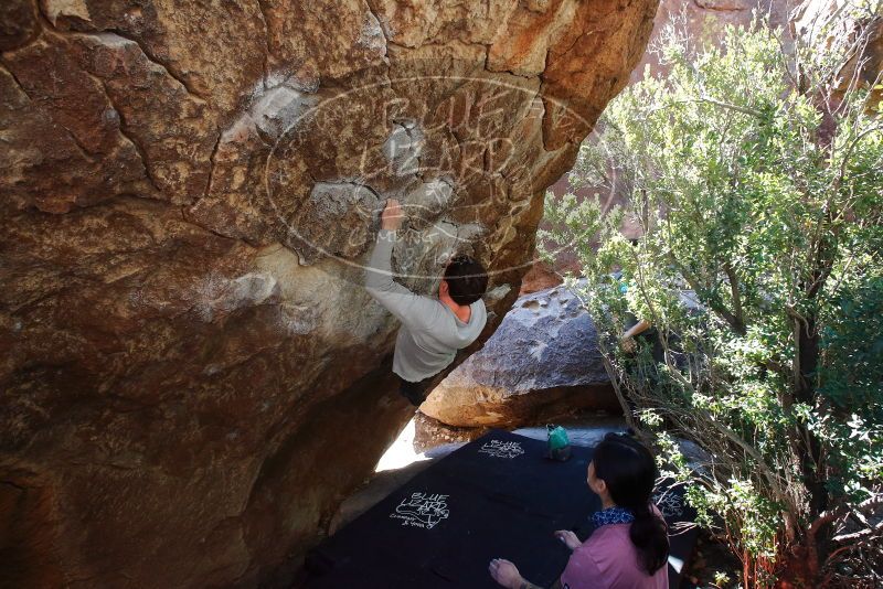 Bouldering in Hueco Tanks on 02/16/2020 with Blue Lizard Climbing and Yoga

Filename: SRM_20200216_1221490.jpg
Aperture: f/5.6
Shutter Speed: 1/250
Body: Canon EOS-1D Mark II
Lens: Canon EF 16-35mm f/2.8 L