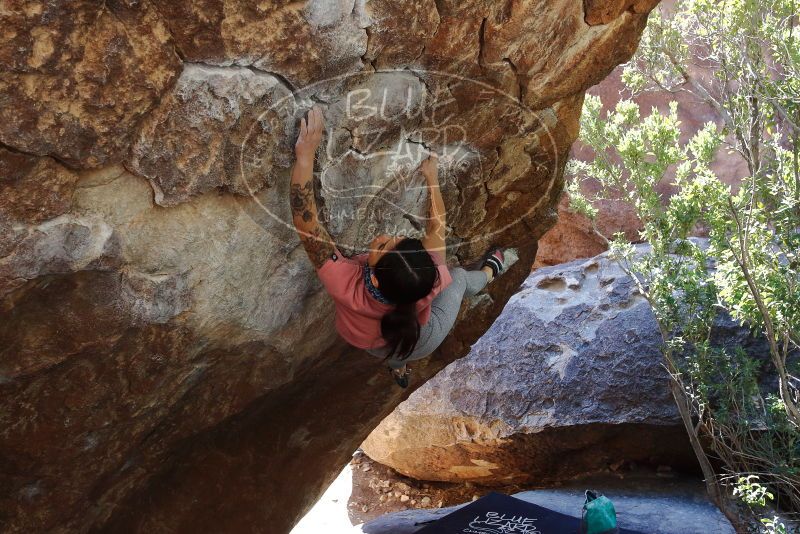 Bouldering in Hueco Tanks on 02/16/2020 with Blue Lizard Climbing and Yoga

Filename: SRM_20200216_1222290.jpg
Aperture: f/5.6
Shutter Speed: 1/250
Body: Canon EOS-1D Mark II
Lens: Canon EF 16-35mm f/2.8 L