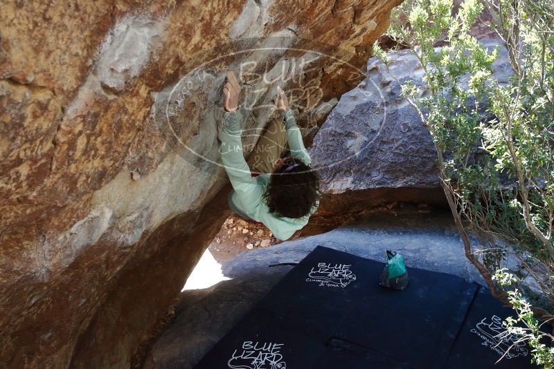 Bouldering in Hueco Tanks on 02/16/2020 with Blue Lizard Climbing and Yoga

Filename: SRM_20200216_1224580.jpg
Aperture: f/5.6
Shutter Speed: 1/250
Body: Canon EOS-1D Mark II
Lens: Canon EF 16-35mm f/2.8 L