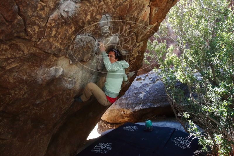 Bouldering in Hueco Tanks on 02/16/2020 with Blue Lizard Climbing and Yoga

Filename: SRM_20200216_1226140.jpg
Aperture: f/6.3
Shutter Speed: 1/250
Body: Canon EOS-1D Mark II
Lens: Canon EF 16-35mm f/2.8 L
