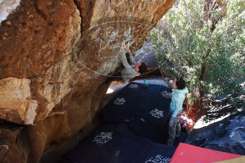 Bouldering in Hueco Tanks on 02/16/2020 with Blue Lizard Climbing and Yoga

Filename: SRM_20200216_1226500.jpg
Aperture: f/5.0
Shutter Speed: 1/250
Body: Canon EOS-1D Mark II
Lens: Canon EF 16-35mm f/2.8 L