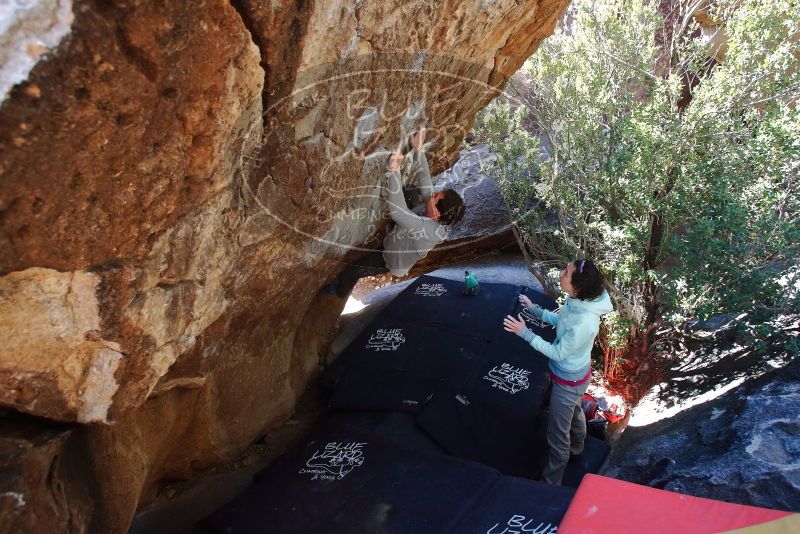 Bouldering in Hueco Tanks on 02/16/2020 with Blue Lizard Climbing and Yoga

Filename: SRM_20200216_1226510.jpg
Aperture: f/5.0
Shutter Speed: 1/250
Body: Canon EOS-1D Mark II
Lens: Canon EF 16-35mm f/2.8 L