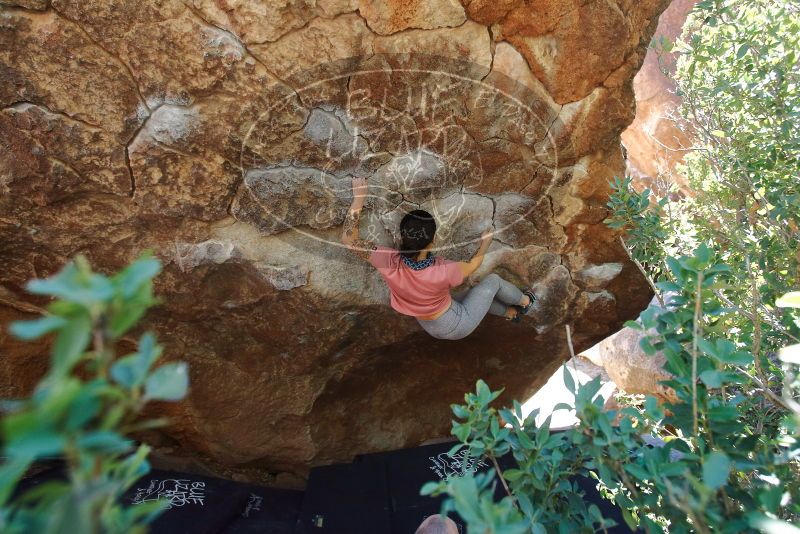 Bouldering in Hueco Tanks on 02/16/2020 with Blue Lizard Climbing and Yoga

Filename: SRM_20200216_1230240.jpg
Aperture: f/5.0
Shutter Speed: 1/250
Body: Canon EOS-1D Mark II
Lens: Canon EF 16-35mm f/2.8 L